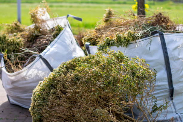 Shed Removal in Newhall, IA